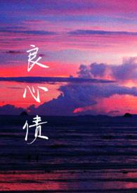 良心债(np)